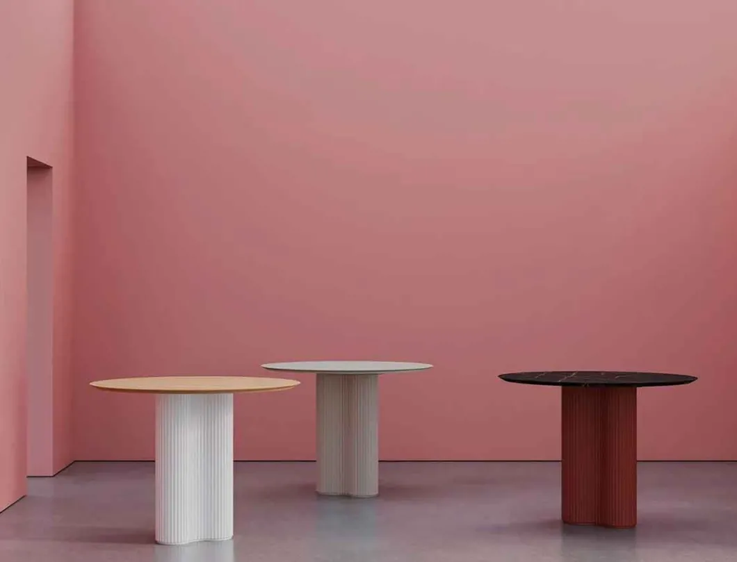 Mesa Bolete | Andreu World