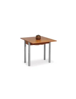 Mesa Elsa Libro