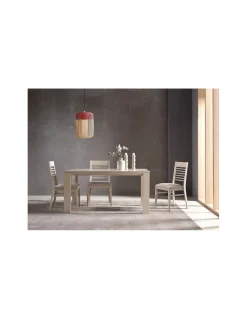 Mesa extensible 502