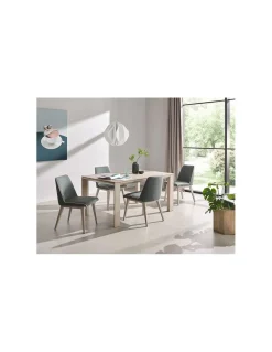 Mesa extensible 502