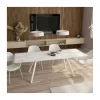 Mesa extensible Tasman