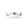 Mesa Leire