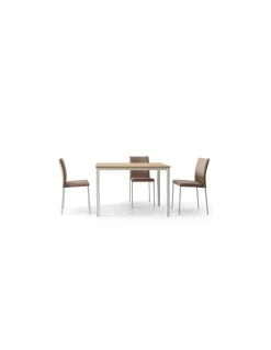 Mesa Leire