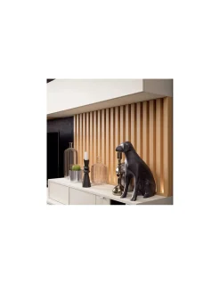 Salón Nexa C210 | Mesegue