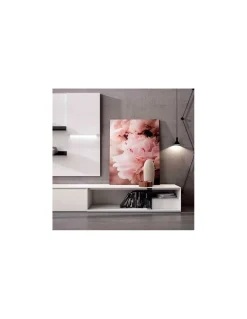 Salón Nexa C201 | Mesegue