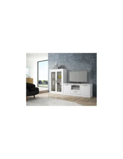 Salón Roma 22