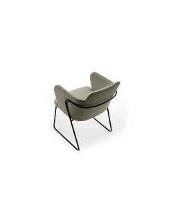 Silla Evia | Doos