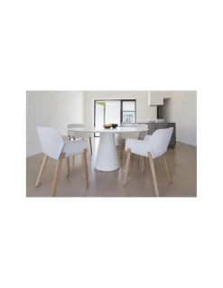 Silla Nuez 2770 C | Andreu World