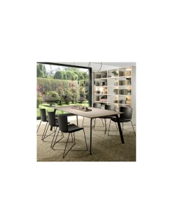 Silla Poppea con galleta | Loyra